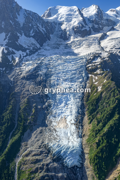 Glacier des Bossons (Chamonix, Haute-Savoie, France) - gryphea.org